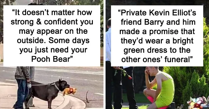 50 Heartwarming Stories To Restore Your Faith In Humanity