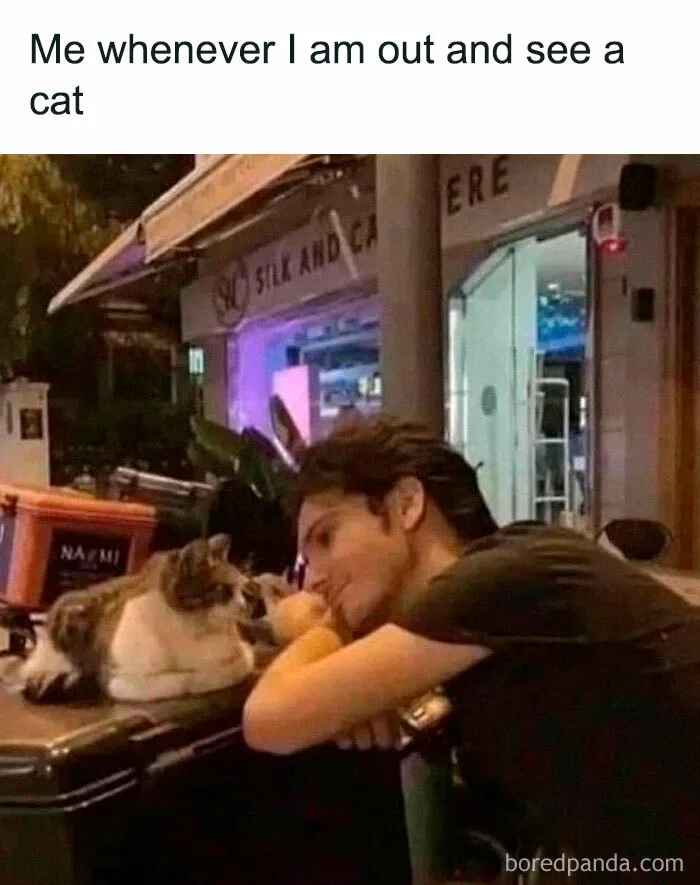 This FB Page Is Home To Hilarious Cat-Centered Memes, And Here Are 50 Of The Most Purr-Fect Ones
