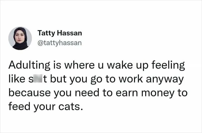 This FB Page Is Home To Hilarious Cat-Centered Memes, And Here Are 50 Of The Most Purr-Fect Ones