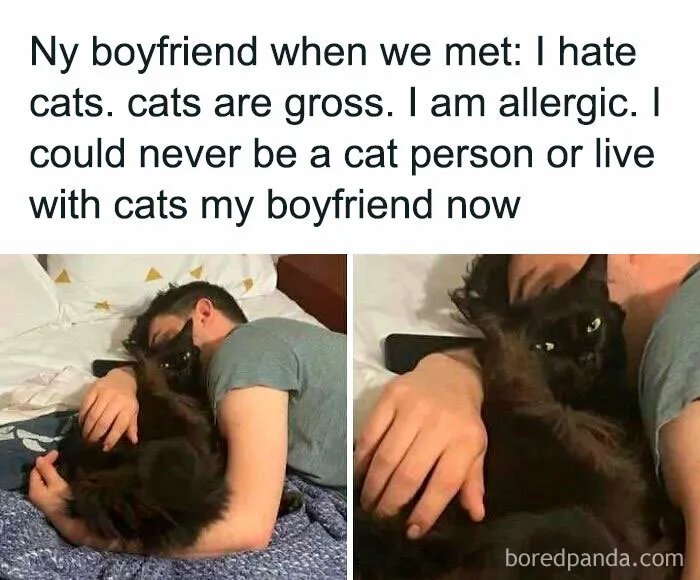 This FB Page Is Home To Hilarious Cat-Centered Memes, And Here Are 50 Of The Most Purr-Fect Ones