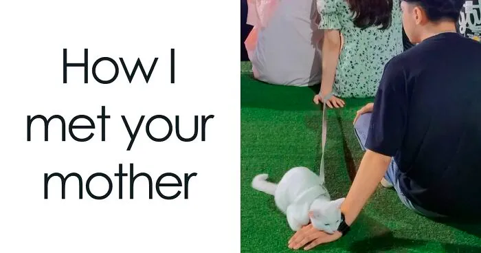 This FB Page Is Home To Hilarious Cat-Centered Memes, And Here Are 50 Of The Most Purr-Fect Ones