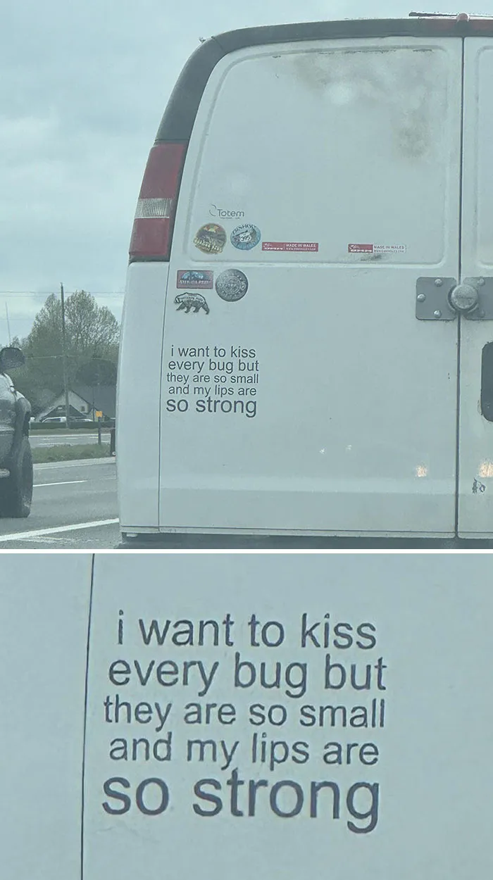 Quiero besar a todos los bichos, pero son tan pequeños y mis labios tan fuertes