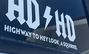 People Are Sharing Their Favorite Bumper Stickers They Saw And Here Are 50 Of Them (New Pics)