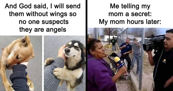 50 Hilarious Random Memes To Brighten Up Your Day (New Pics)