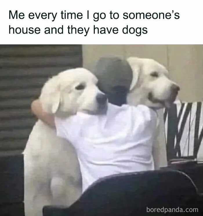 50 Hilarious Random Memes To Brighten Up Your Day (New Pics)