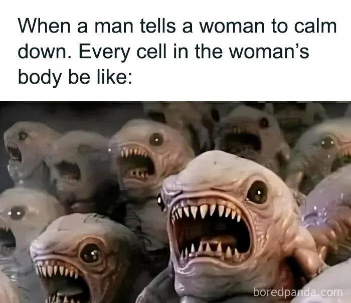 50 Hilarious Random Memes To Brighten Up Your Day (New Pics)