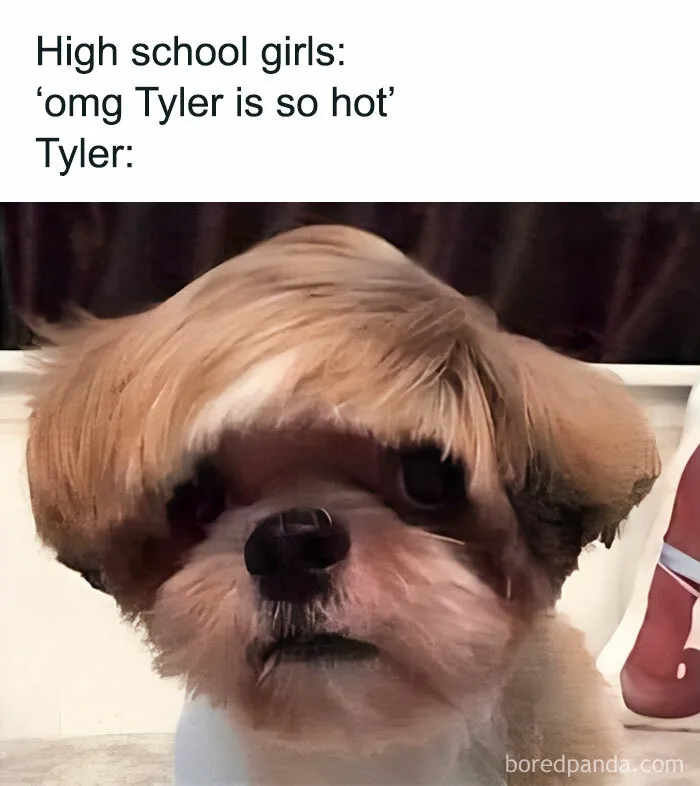 50 Hilarious Random Memes To Brighten Up Your Day (New Pics)