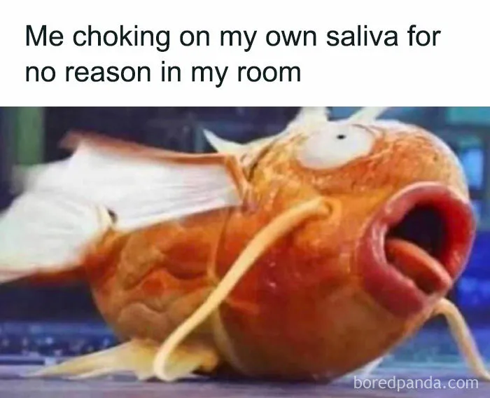 50 Hilarious Random Memes To Brighten Up Your Day (New Pics)