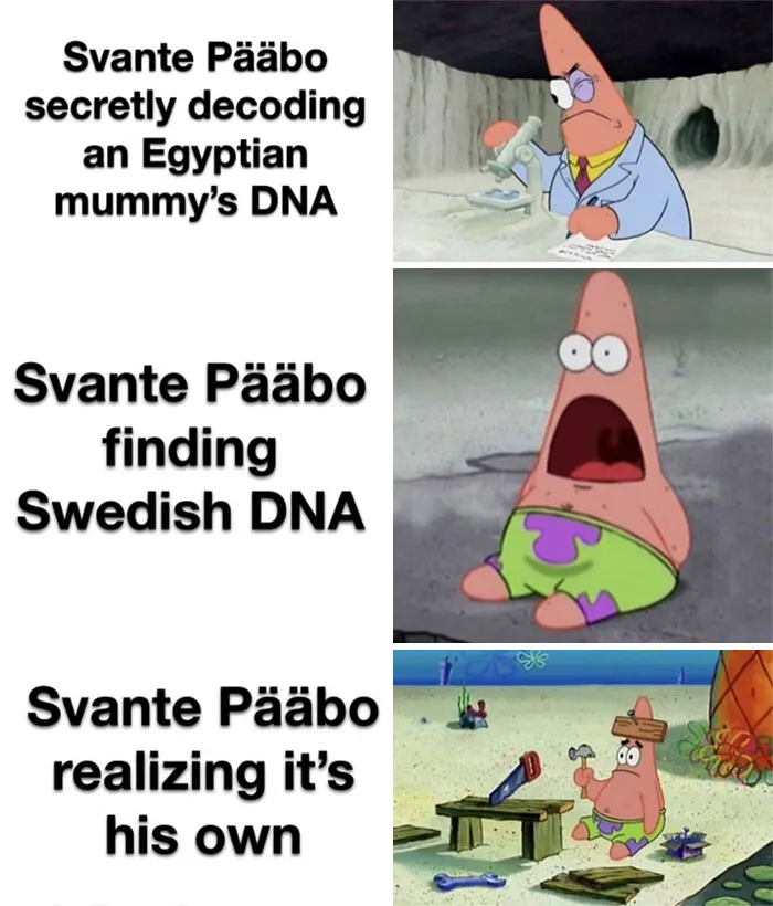 Still Decoded Neanderthal Dna And Got The Nobel Prize In The End