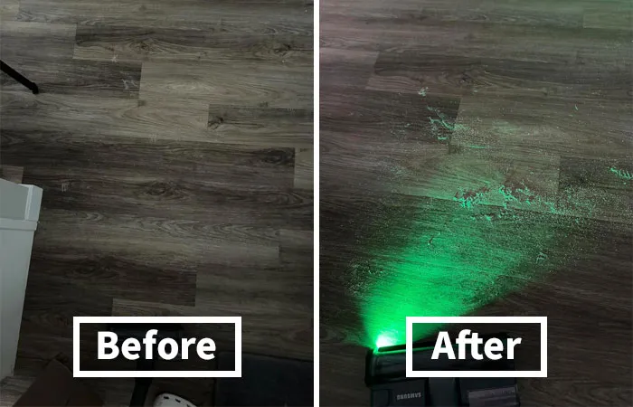 Think Your Floors Are Clean? Think Again! This   <a Style="Display:inline;" Href="Https://Www.amazon.com/Tewisefaok-Rechargeable-Attachment-Universal-Accessories/Dp/B0ct2b865t?crid=19f4cx172nt5r&dib=eyj2ijoimsj9.poxc2_wxkdc8f2jv5jntwsrbozfv7fa3g3tj9zp2y8-Fwjtybvzyamshckn0tvl7zgejto4faq4te8rkqw19blxy8rwlp8ix3_no3cf48immvnoasgyyssqznzr2inegku3h5ofbzq8amk0ibpgoupcgpsjtogktftkbd8r0bwiszweuyj6vsil9tis5tvdllzzl1yqeohuydwepcbrfyt2pzxx_q5dhvkfegedvtv4.mqbxidi5ko03yvwrcolswybut4vweehf1x_z2c8hp7y&dib_tag=se&keywords=vacuum+laser+light&qid=1713391249&sprefix=vacuum+laser+light%2caps%2c90&sr=8-2-Spons&sp_csd=d2lkz2v0tmftzt1zcf9hdgy&psc=1&ascsubtag=srctok-018429953a973a1f&btn_ref=srctok-018429953a973a1f&linkcode=ll1&tag=bppenguin-20&linkid=be1504864304663d60800cb889e81b9a&language=en_us&ref_=as_li_ss_tl" Target="_blank"><span Style="Font: Inherit; Color: #d74b1f;"> Rechargeable LED Light Attachment</Span> Will Expose Hidden Dust Bunnies And Pet Hair, Turning Your Cleaning Routine Into A Thrilling Detective Game