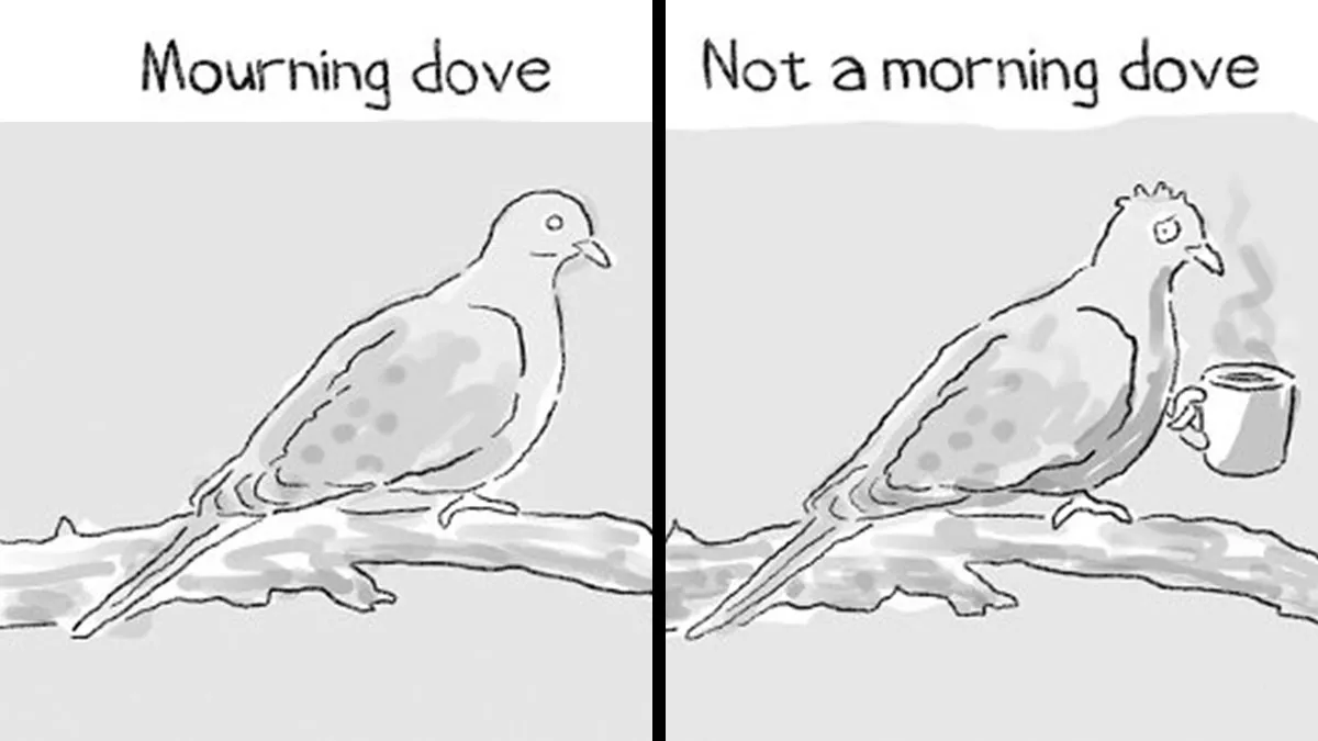 Artist Reveals Absurdities Of The Modern World Through Humorous Comics (28 New Pics)