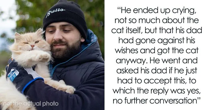 Husband Makes A Selfish Decision To Bring A Kitten Home Without Considering His Family's Feelings