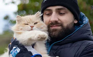 Husband Makes A Selfish Decision To Bring A Kitten Home Without Considering His Family's Feelings