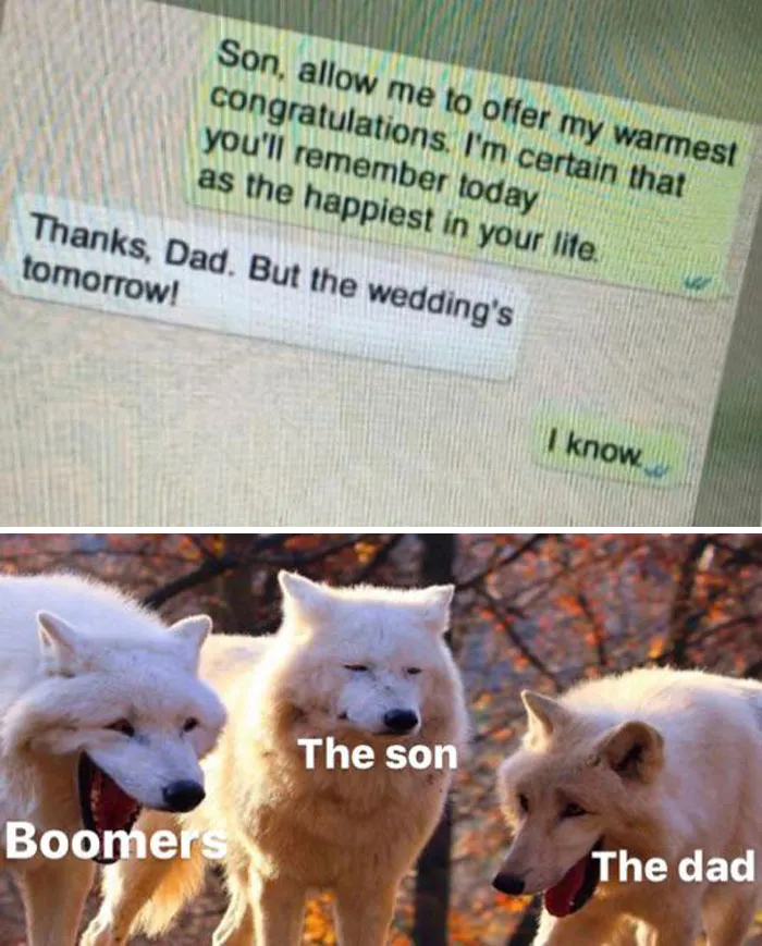 50 Random Memes To Share With A Random Person At The Bus Stop