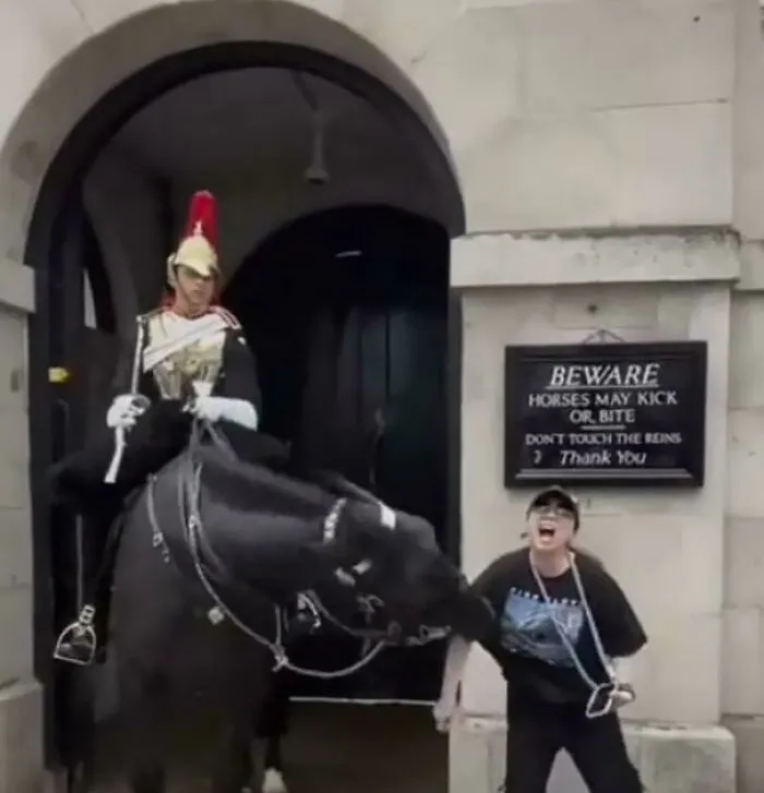 Una turista parada frente al cartel de «Los caballos pueden cocear o morder». Es la razón por la que hace falta poner ese cartel