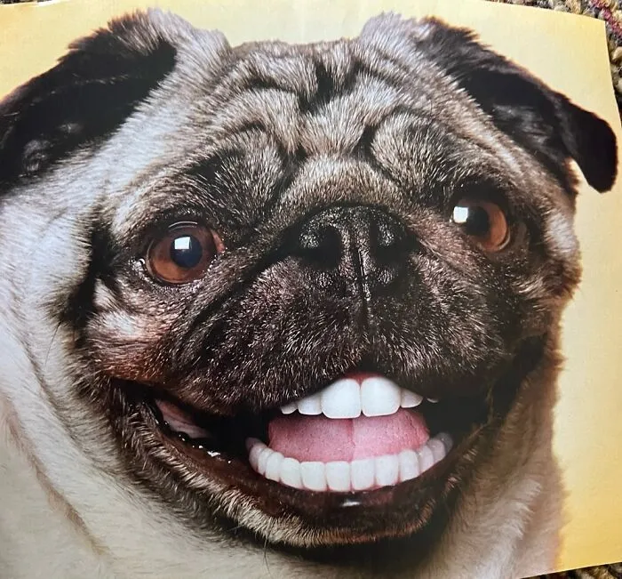 …???