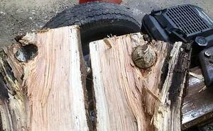 50 Times People Opened Up Things And Just Had To Share What They Found Inside (New Pics)