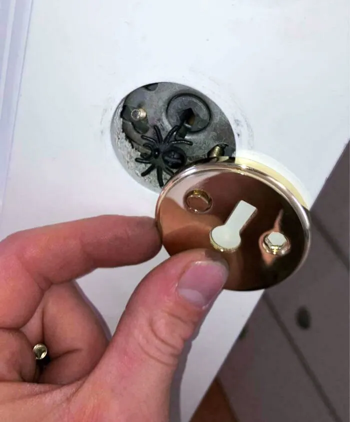 Estoy cambiando los pomos de las puertas. El dueño anterior puso una araña falsa en el ojo de la cerradura. Casi me da un infarto.