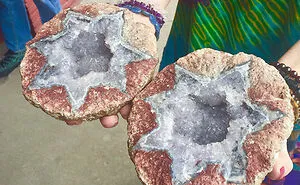 50 Times People Opened Up Things And Just Had To Share What They Found Inside (New Pics)