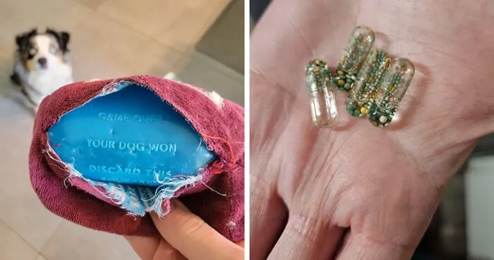 50 Times People Opened Up Things And Just Had To Share What They Found Inside (New Pics)