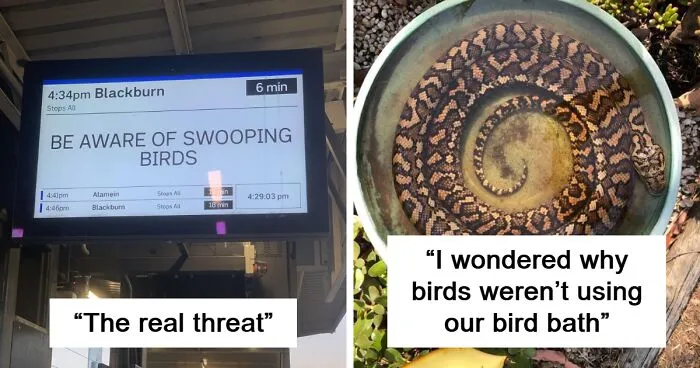 Explore The Land Of ‘Nope’: 50 Surprising Posts Shared By This Online Community (New Pics)