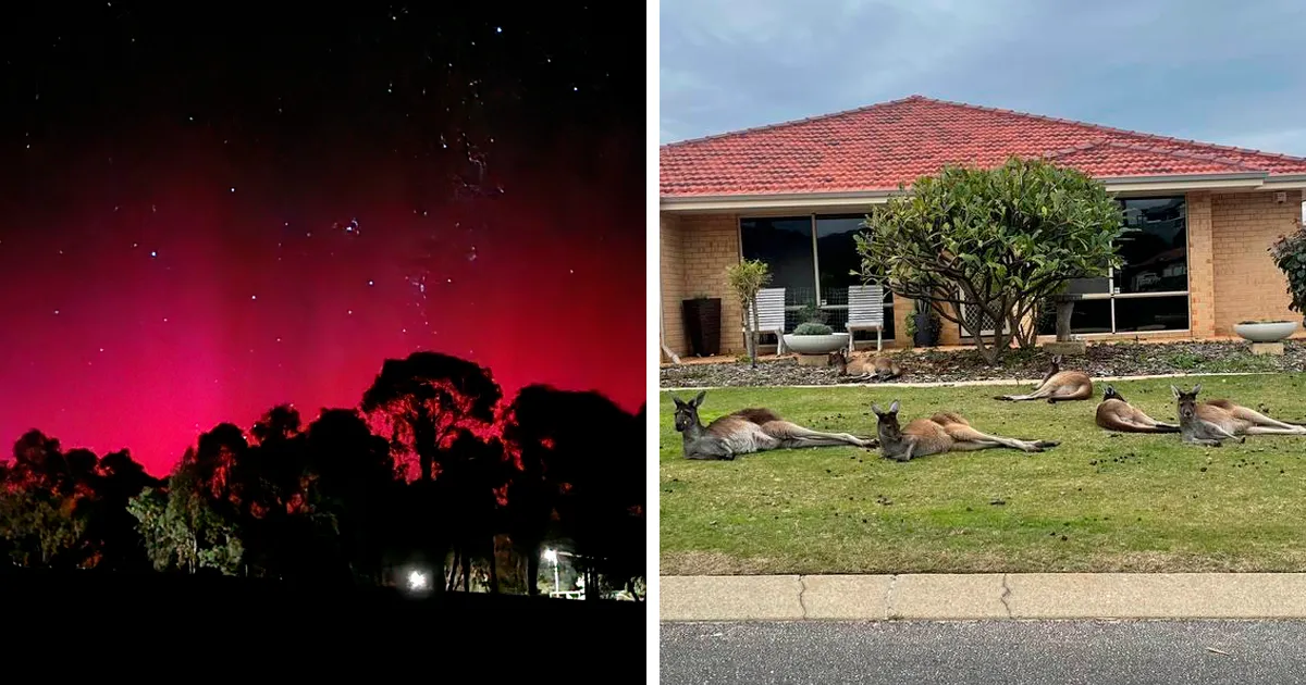 40 Nuevas publicaciones sobre Australia, la tierra del NO