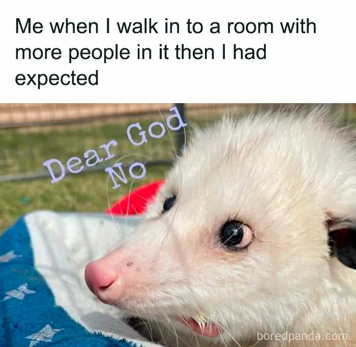 50 Introvert Memes By This Instagram Page Dedicated To Those Who Want Some Peace And Quiet