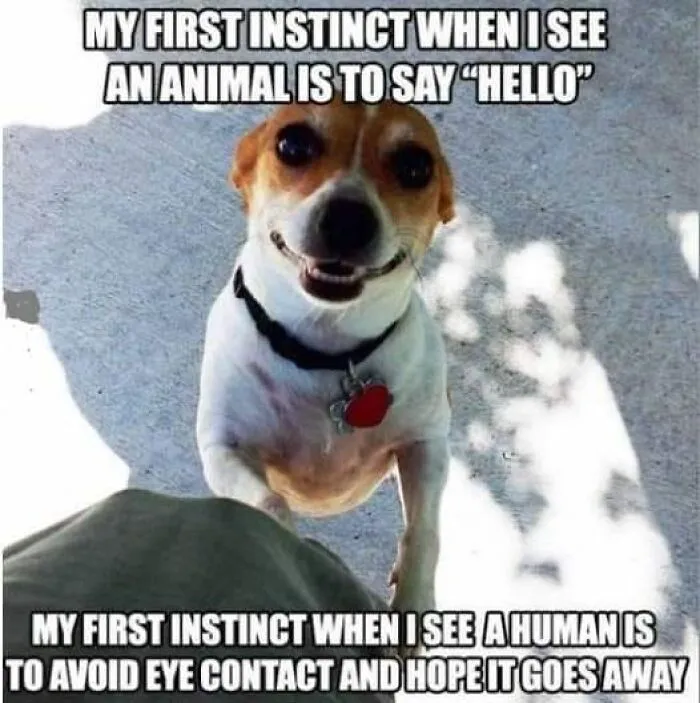 50 Introvert Memes By This Instagram Page Dedicated To Those Who Want Some Peace And Quiet