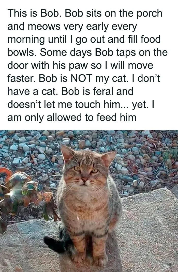50 Introvert Memes By This Instagram Page Dedicated To Those Who Want Some Peace And Quiet