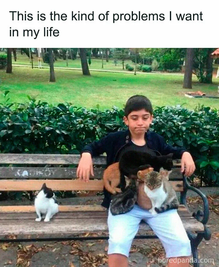 50 Wholesome Memes And Posts That Remind Us The World Isn’t All Bad