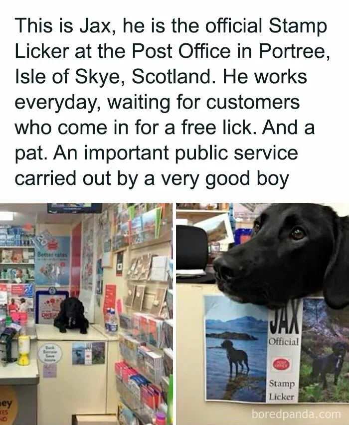 50 Wholesome Memes And Posts That Remind Us The World Isn’t All Bad
