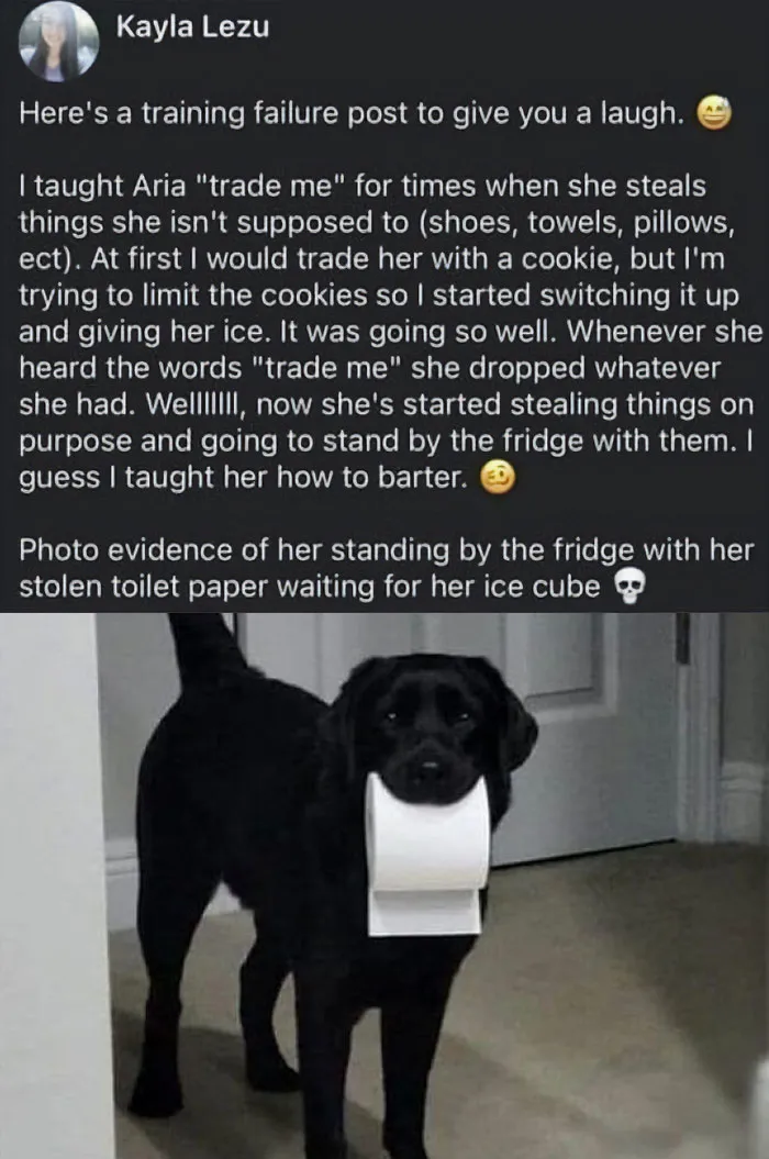 50 Wholesome Memes And Posts That Remind Us The World Isn’t All Bad