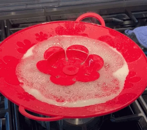 Boiling Over With Excitement About Your Pasta, But Not About The Mess? This   <a Style="Display:inline;" Href="Https://Www.amazon.com/Kuhn-Rikon-Kochblume-Stopper-11-Inch/Dp/B00u2l1ze2?ie=utf8&th=1&linkcode=ll1&tag=bpdingo-20&linkid=f254b07b575adfdd78a2fba6c618595c&language=en_us&ref_=as_li_ss_tl" Target="_blank"><span Style="Font: Inherit; Color: #d74b1f;"> Silicone Spill Stopper</Span> Is Here To Keep Your Stovetop Spotless