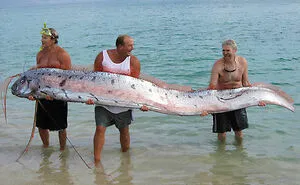 50 Animals So Giant It’s Hard To Believe They’re Real (New Pics)