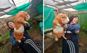50 Animals So Giant It’s Hard To Believe They’re Real (New Pics)