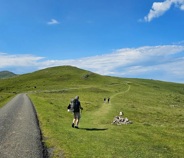 Path On The Pyrenees Mountains