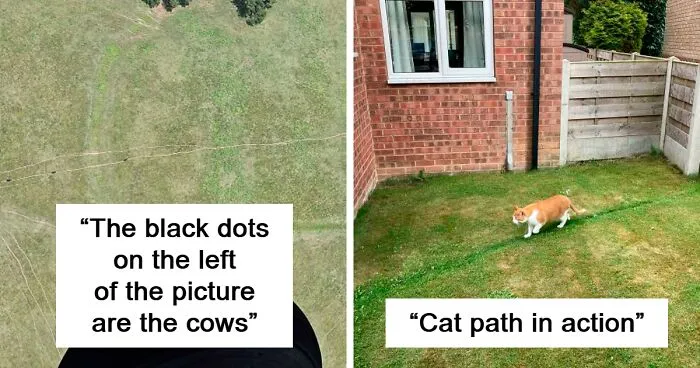 50 Times Urban Planners Failed To Understand People’s Needs, And It Resulted In ‘Desire Paths’ (New Pics)