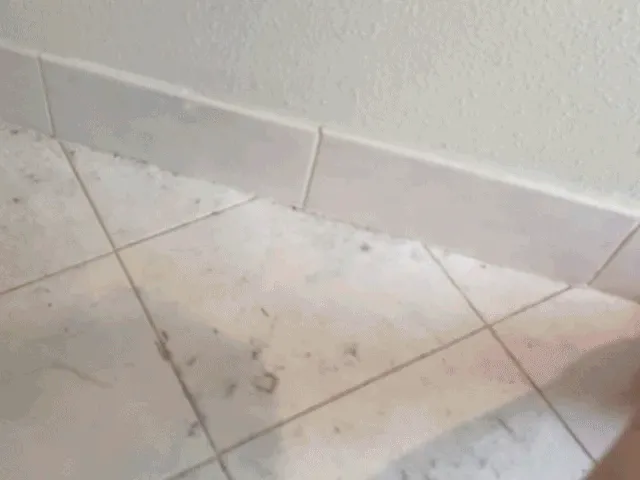 Dust Bunnies Don't Stand A Chance Against This   <a Style="Display:inline;" Href="Https://Www.amazon.com/Jeymei-Cleaning-Baseboards-Railings-Non-Scratch/Dp/B0c4pf3hb8?ie=utf8&th=1&linkcode=ll1&tag=bpdonkey-20&linkid=acb54f70b56e80362c1da37afeb7e00e&language=en_us&ref_=as_li_ss_tl" Target="_blank"><span Style="Font: Inherit; Color: #d74b1f;"> Clean Duster Sponge</Span>  
