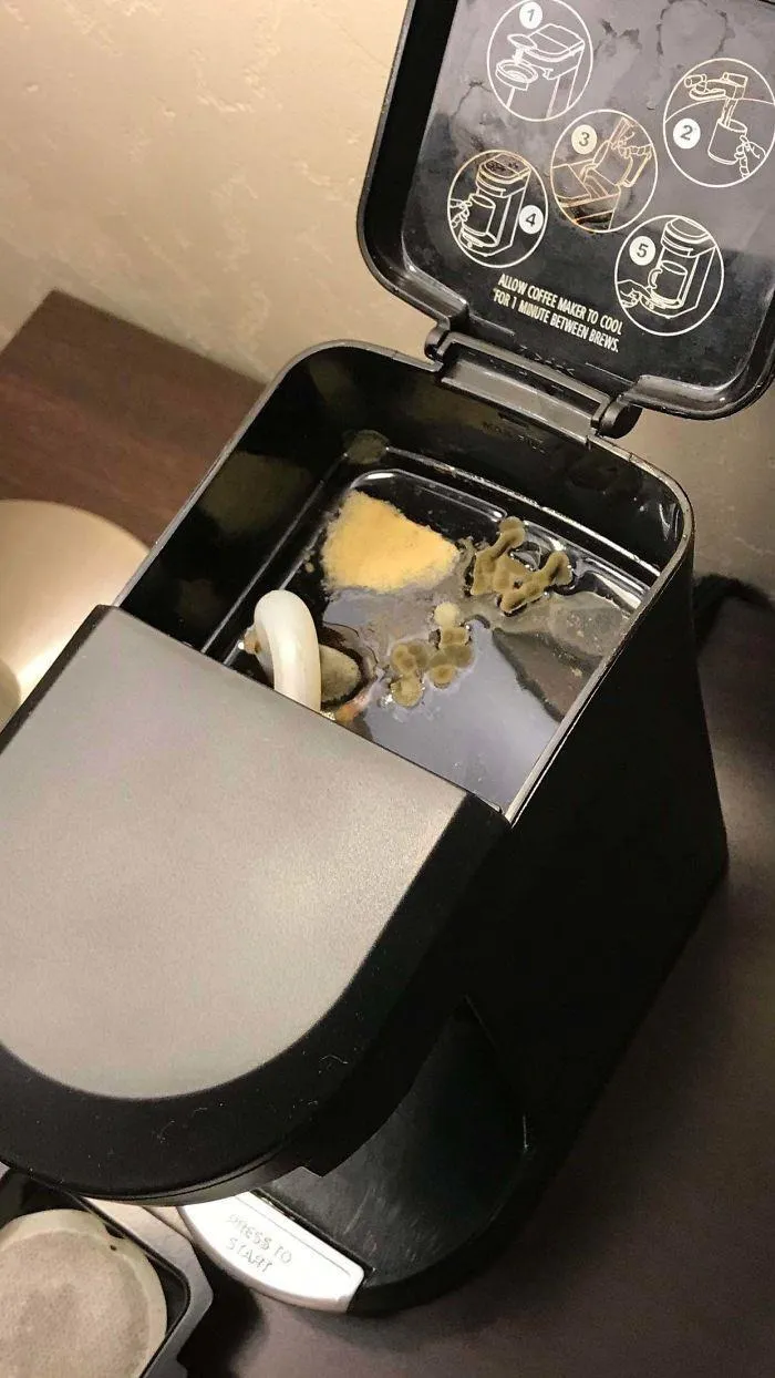 "Always check the coffee machine in your hotel room." - <span Style="Font:inherit;color:#808080"> Cold_Impress_8336</Span>