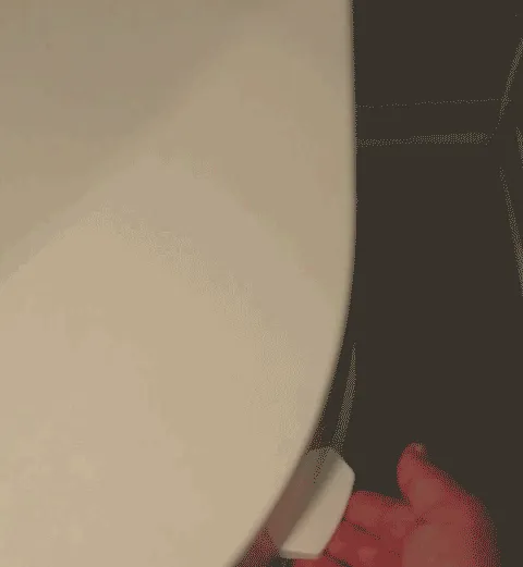 The <span Style="Font: Inherit; Color: #d74b1f;"> Toilet Seat Handle</Span> Is Super Convenient, But It's Still Not An Excuse To Leave The Seat Up!