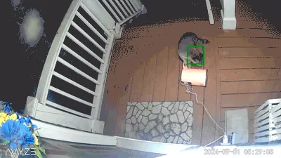 "Someone stole our outdoor cat feeder" - <span Style="Font:inherit;color:#808080"> Xm-7</Span>