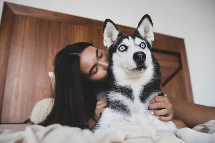 30 Internet Users Share Whether They Let Their Pets Sleep In Their Beds And Why