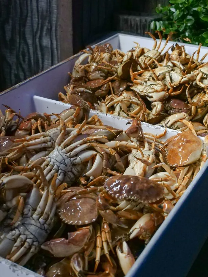 "What Is A Food That Makes You Think, 'How Did Humans Discover This Was Edible?'" (30 Answers)