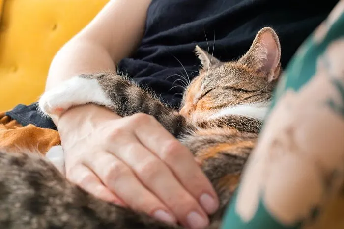 30 Internet Users Share Whether They Let Their Pets Sleep In Their Beds And Why
