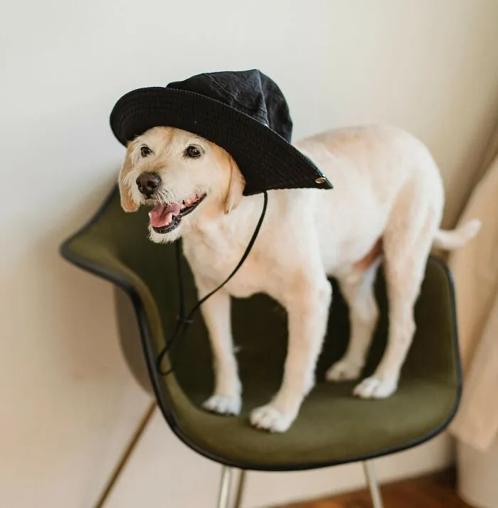 50 Incredibly Cool Things That Are Free Online That Everyone Should Take Advantage Of