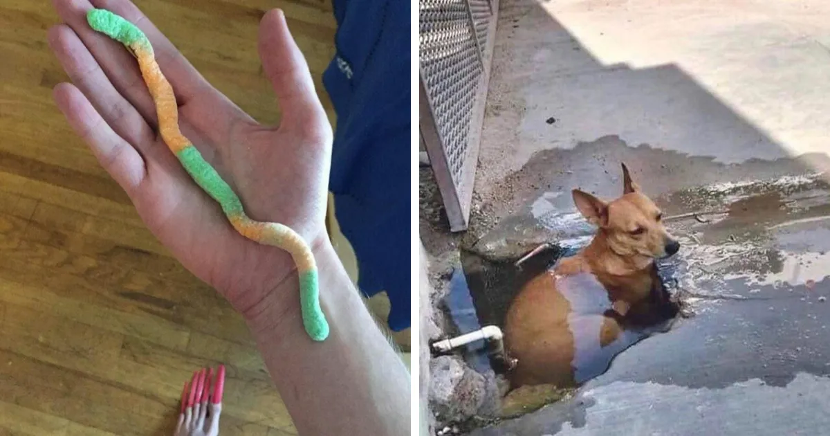 33 Imágenes inexplicables y enervantes no aptas para débiles