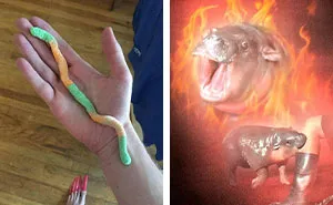 Pics That Actually Go Hard: Unhinged Posts That Keep Getting Better
