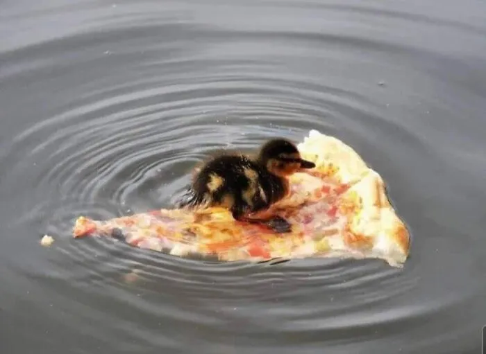 "Pizzas With Threatening Auras": 30 Pics From The Page With The Most Cursed Images Of Pizzas