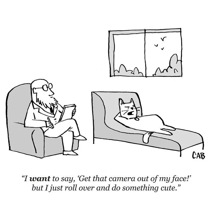 If You Like An Absurd Sense Of Humor, You Might Like These 21 Cartoons By Mat Barton (New Pics)