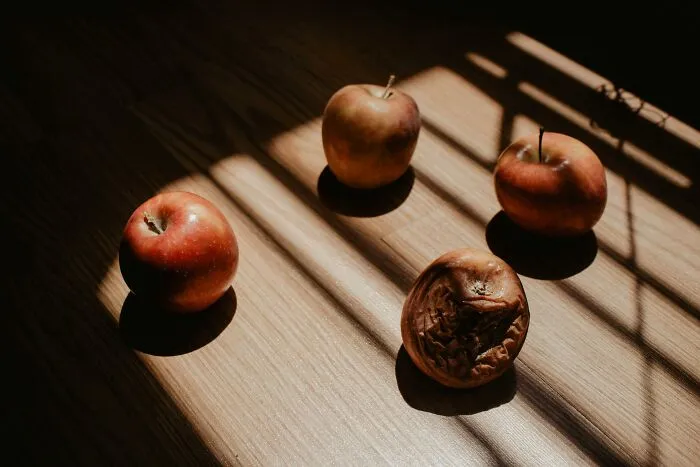 People Who Lost The Roommate Lottery In College Share Their Horror Stories